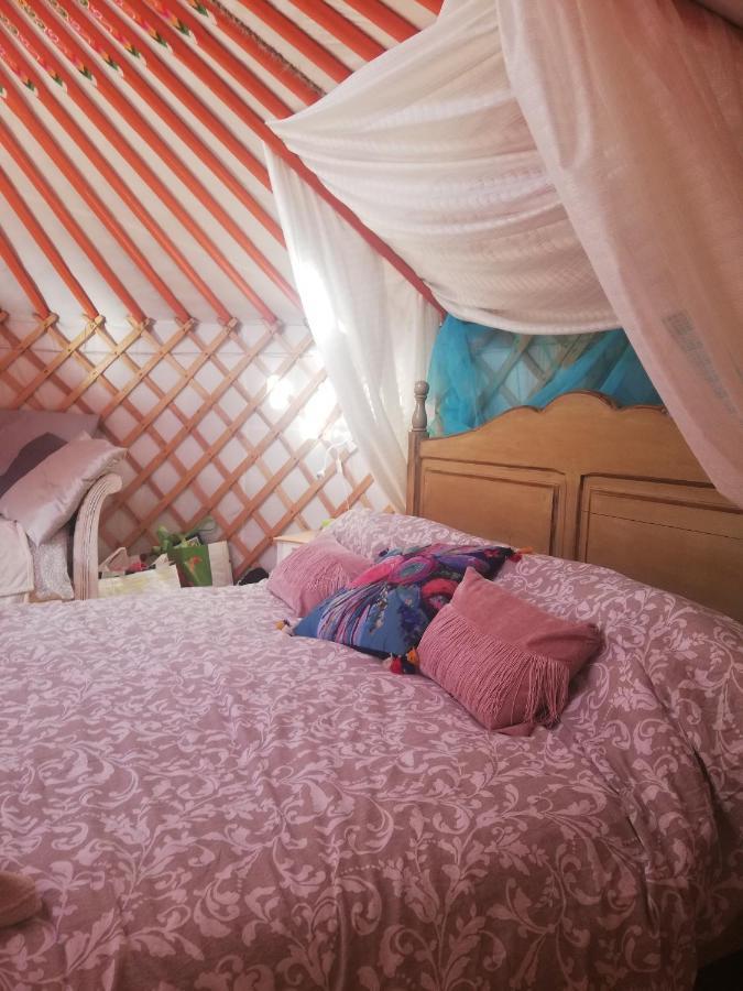 Yurta De Arico Hotel Arico Viejo Kültér fotó